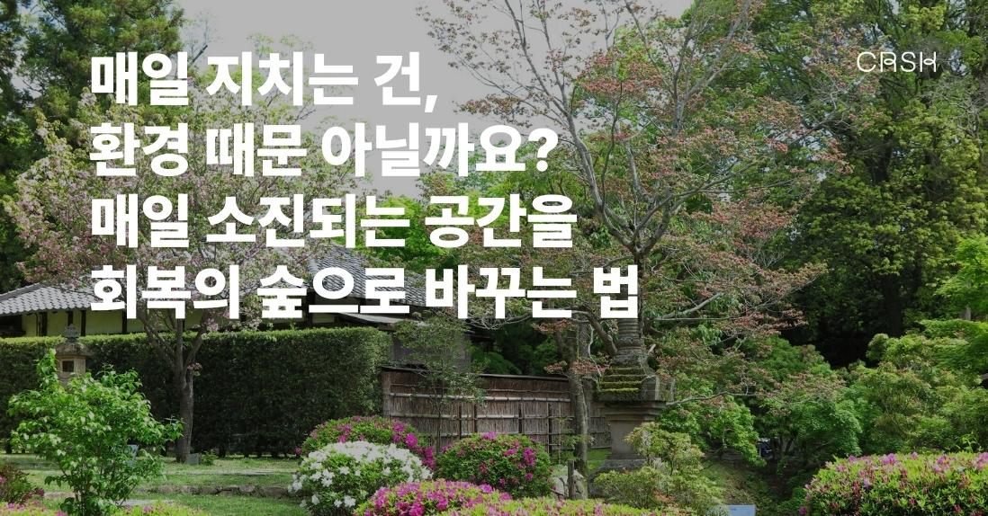 식물이 없는 공간에서 우리는 왜 더 피로할까요?의 썸네일 이미지
