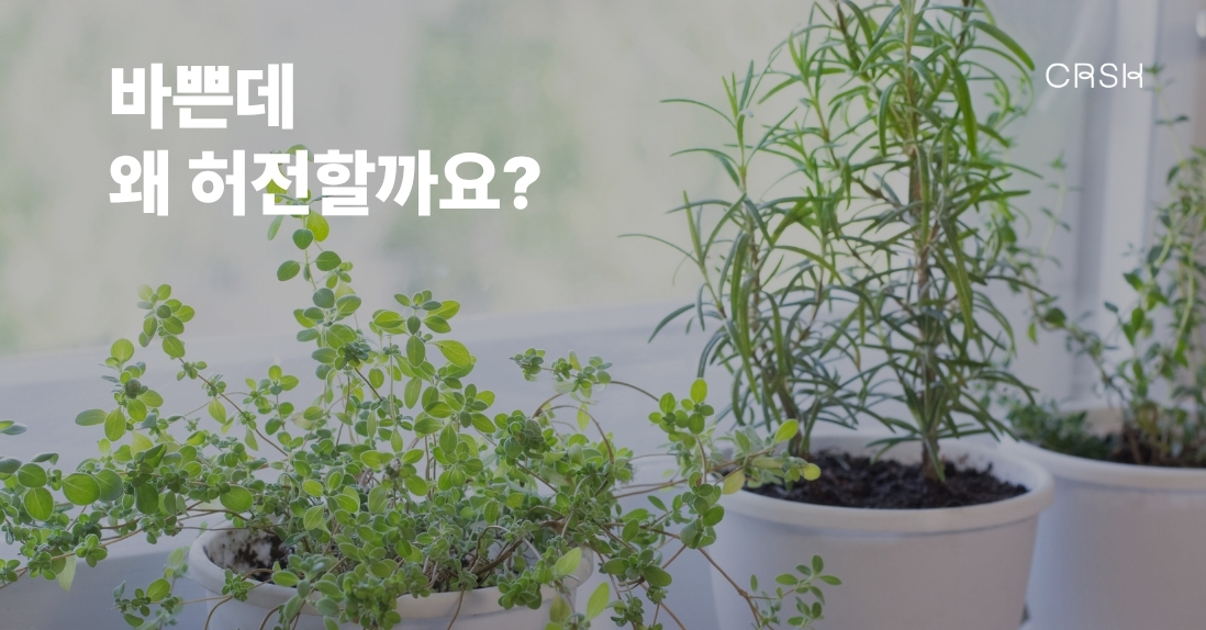 바쁜데 왜 허전할까요? 의 썸네일 이미지