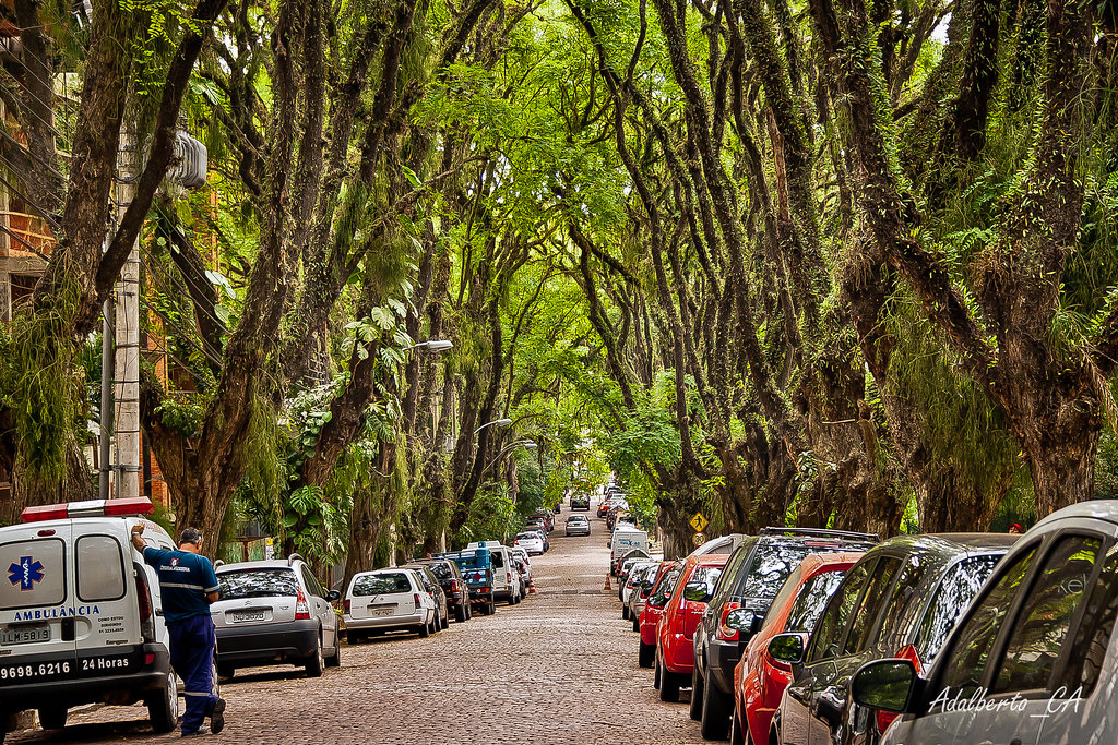 사진 출처: https://www.flickr.com/photos/adalberto_ca/8248042595/