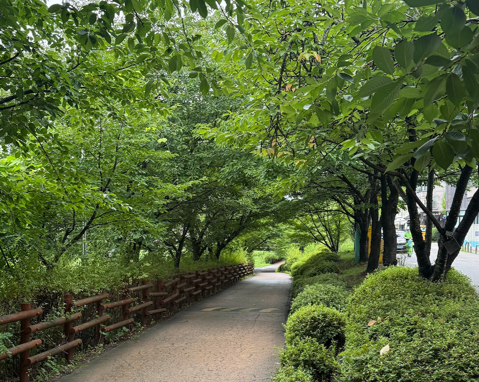 싱그러운 여름의 녹음