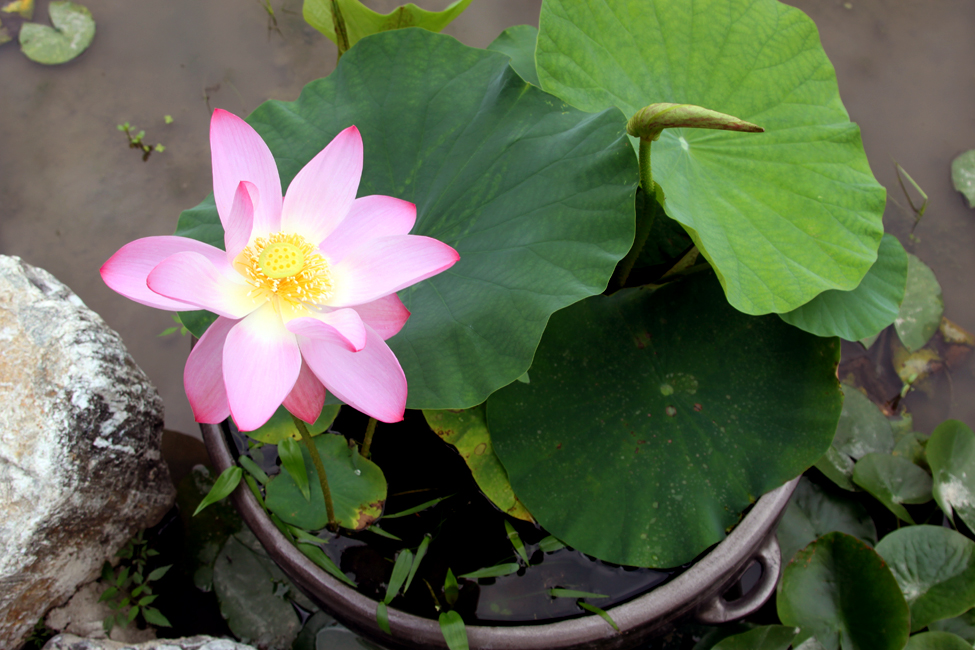 사진: 함안박물관&nbsp;https://www.haman.go.kr/