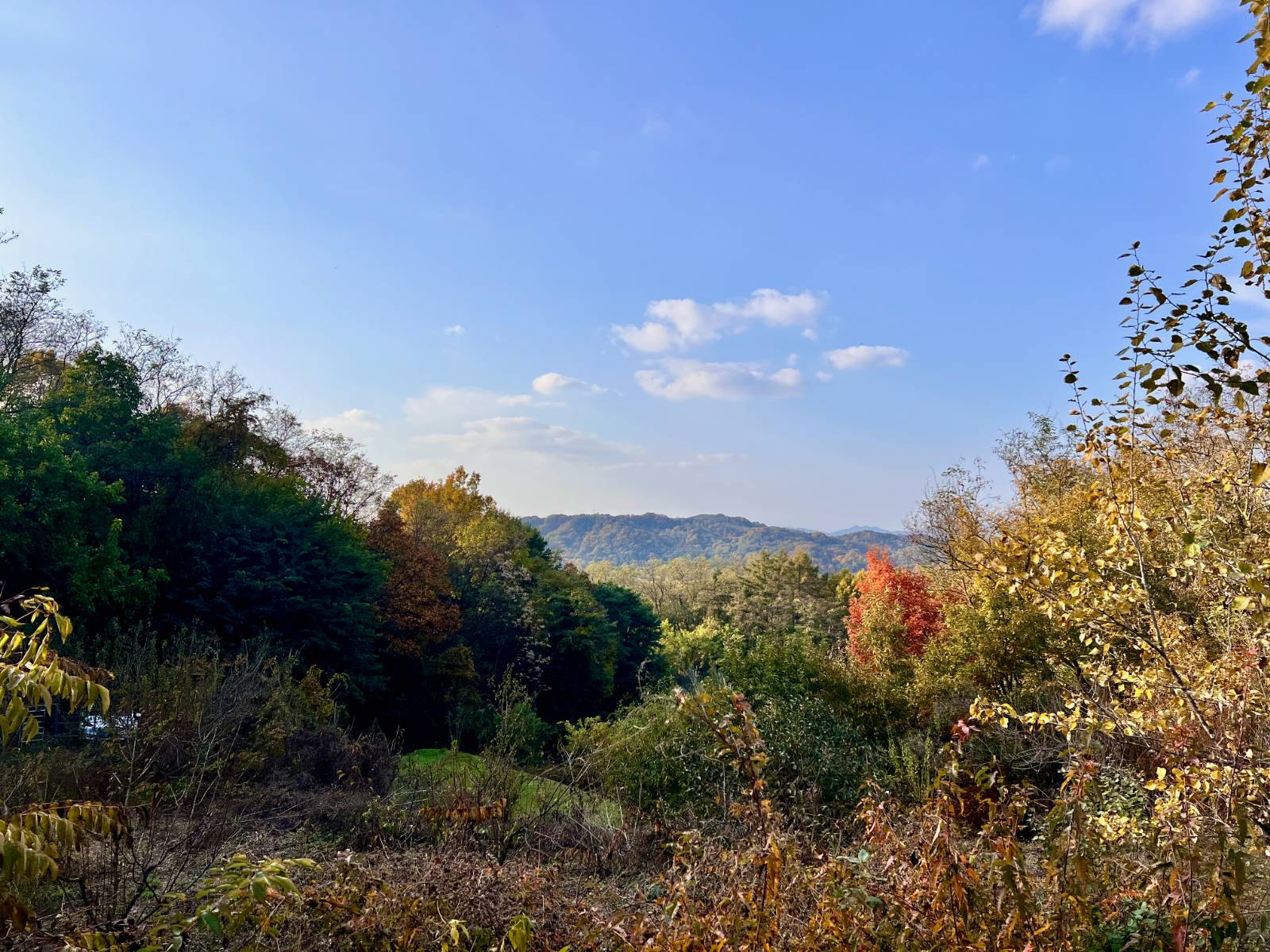 ์ฒจ๋ถ ์ด๋ฏธ์ง