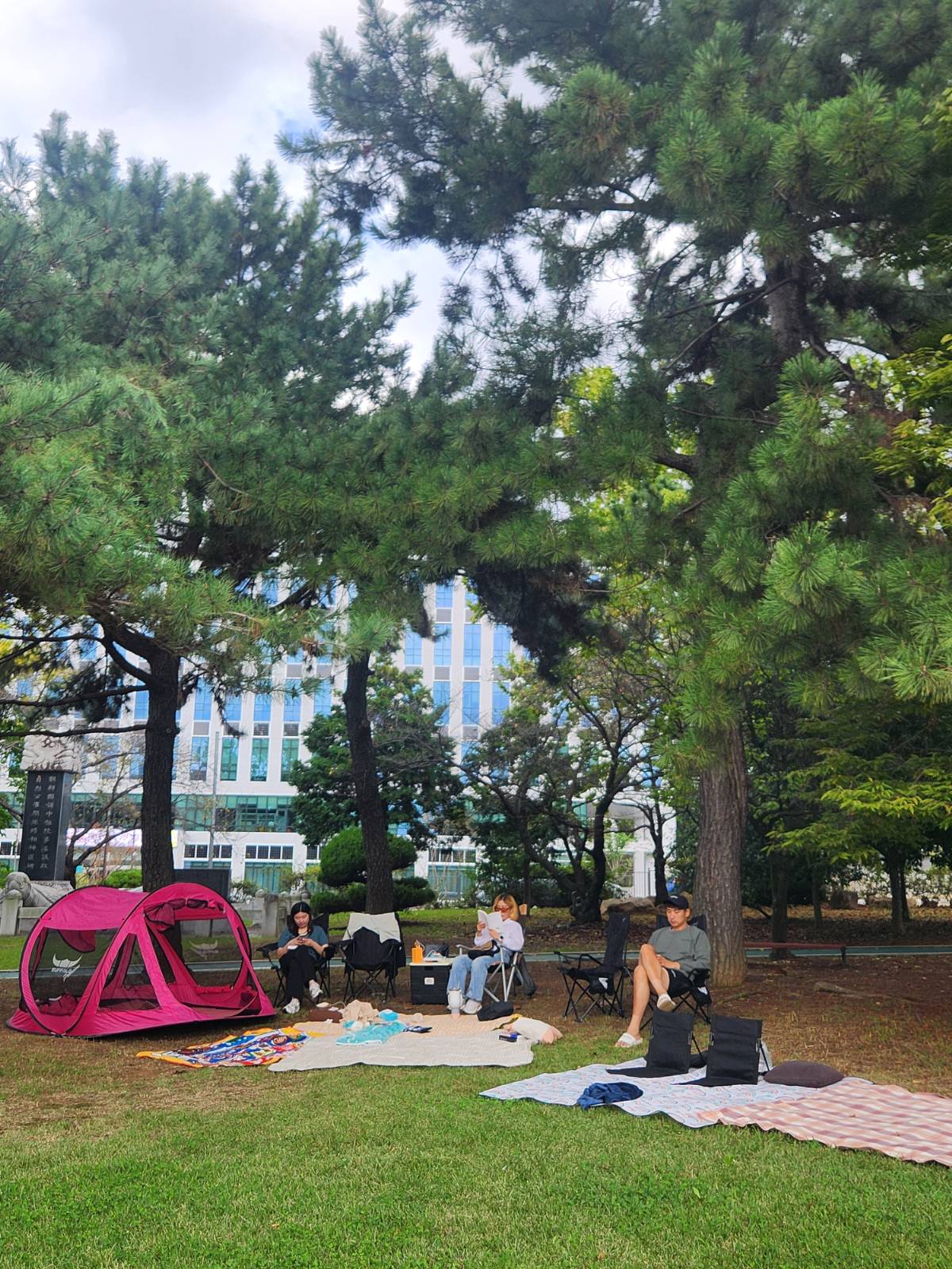 피크닉 때 한 컷