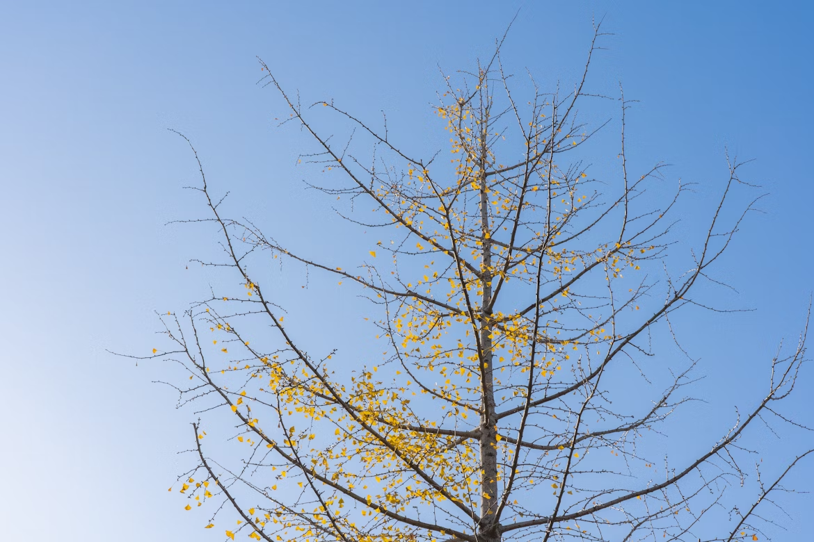 10월 다섯째 주 | 가을의 문장의 썸네일 이미지