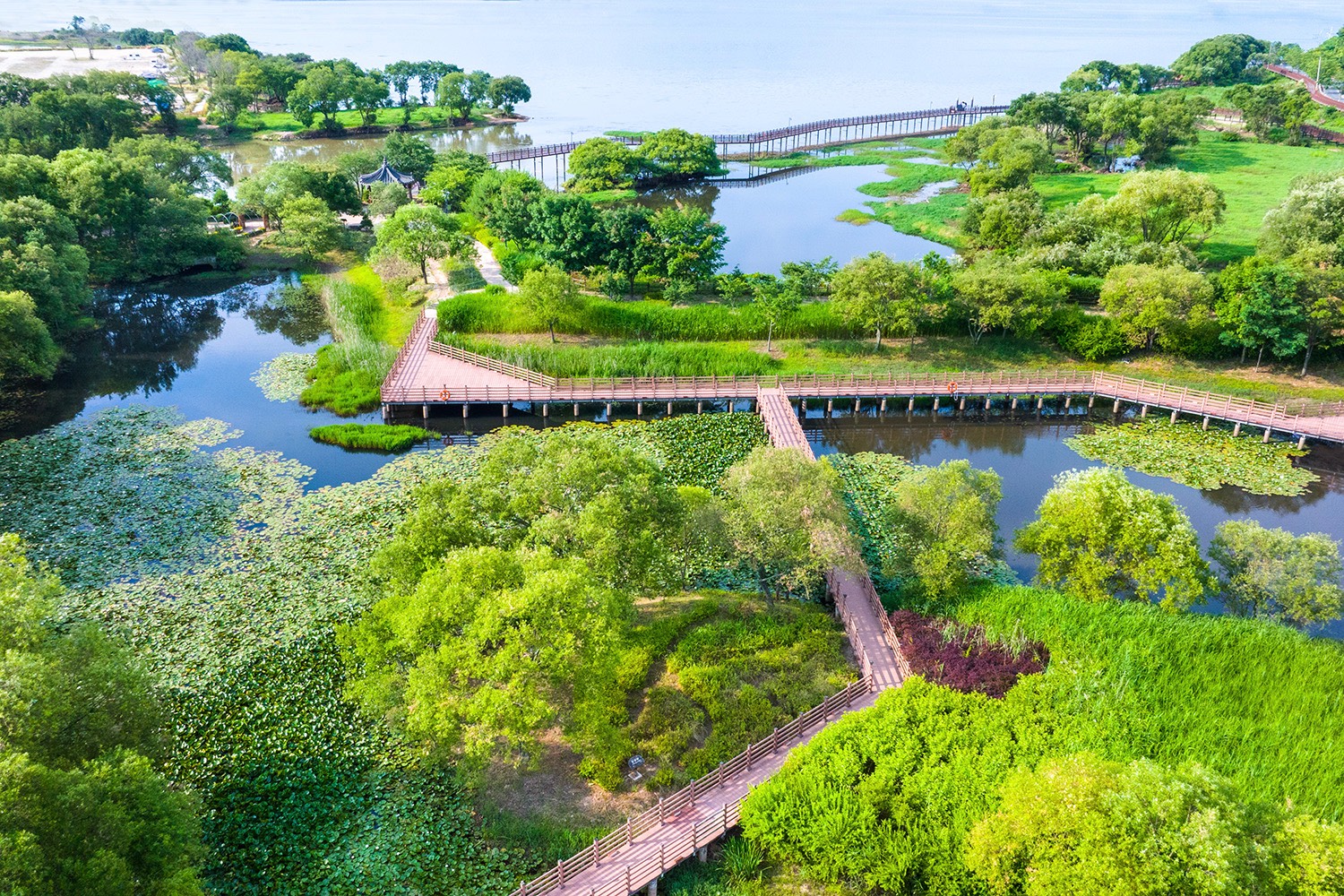 출처 : 논산시청 홈페이지