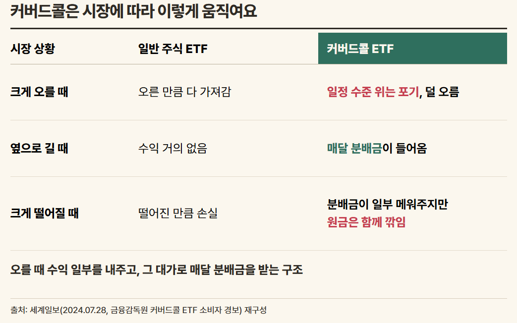 출처 : 세계일보(금융감독원 커버드콜 ETF 소비자 경보, 2024.07.28) / 직접 제작