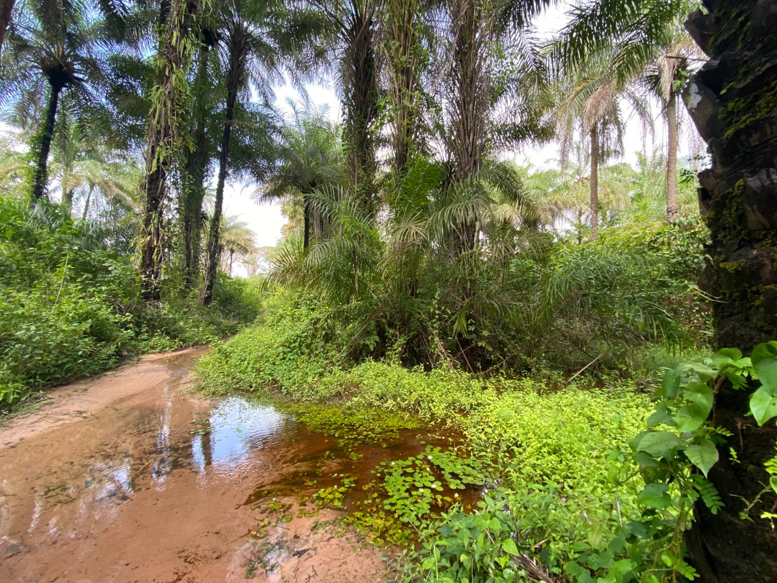 On the way to a local Christian believer’s home