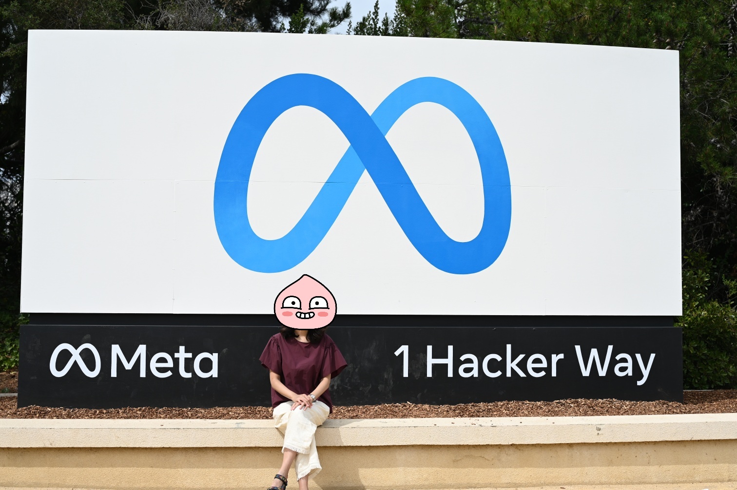 [단아] 빅테크 취준 이야기: 메타의 썸네일 이미지