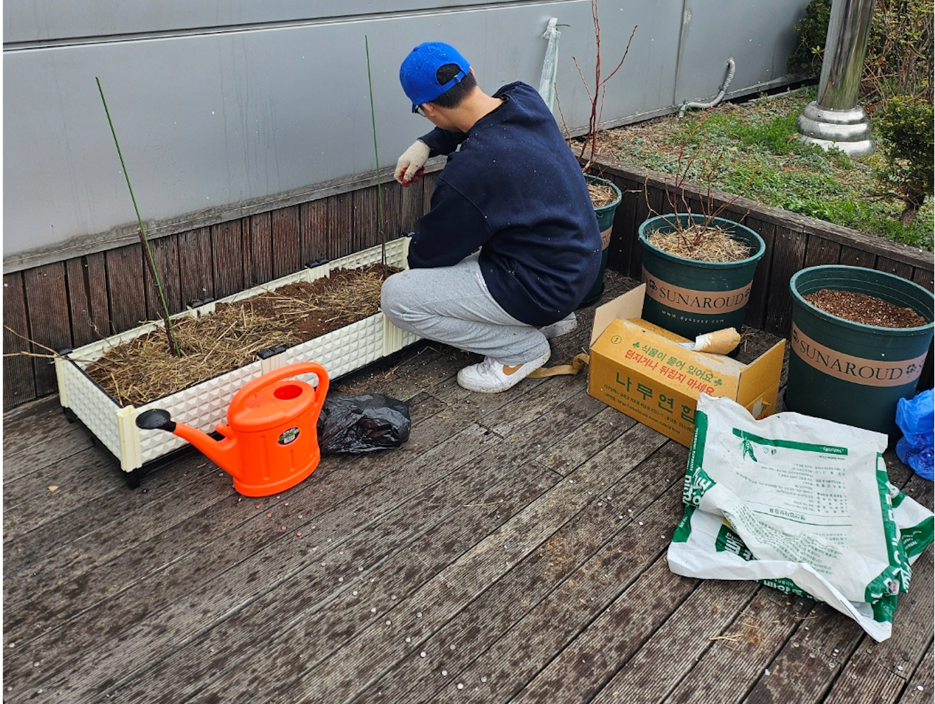 법학관 데크에서 키울 나무를 심는 중인 또래 김정훈
