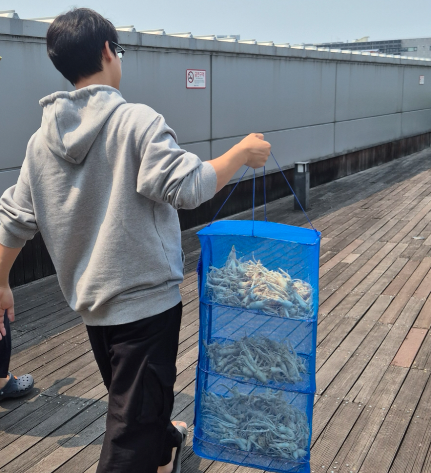 인삼주 담글 인삼을 말리러 가는 또래 김정훈