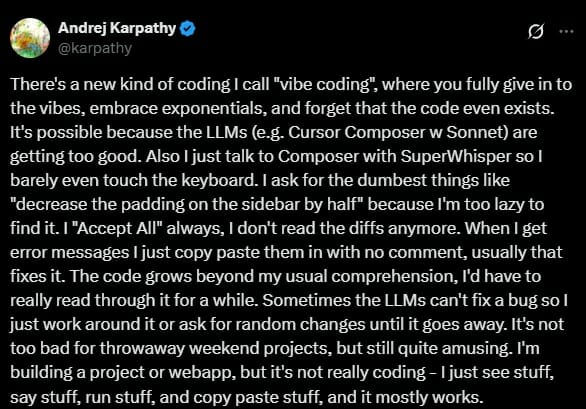 안드레 카파시가 제시한 바이브 코딩(x 원문)