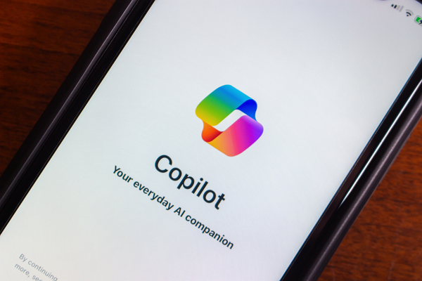 [사진: 셔터스톡]