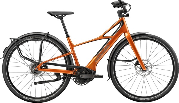 캐논데일의 플라잉V는 클래식한 디자인과 첨단 기술이 결합된 모델이다. [사진: 캐논데일]