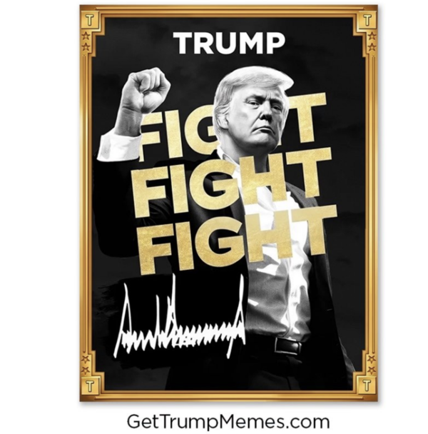 트럼프 밈코인. [사진: 트럼프 X 계정]