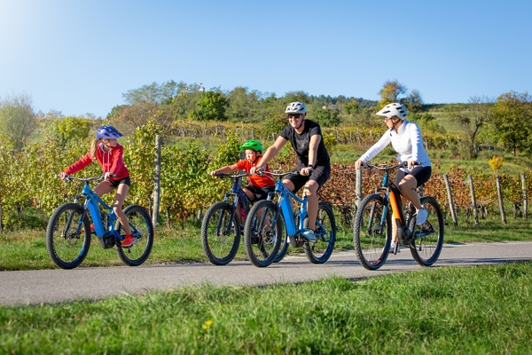  전기자전거 보급이 늘수록 안전에 대한 우려와 대책을 요구하는 목소리도 높아지고 있다 [사진: 셔터스톡]