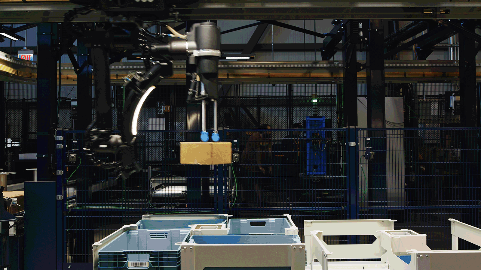 New 아마존 (w/ No human)의 썸네일 이미지