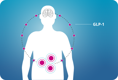GLP-1이 알코올 중독도 치료한다구요?의 썸네일 이미지