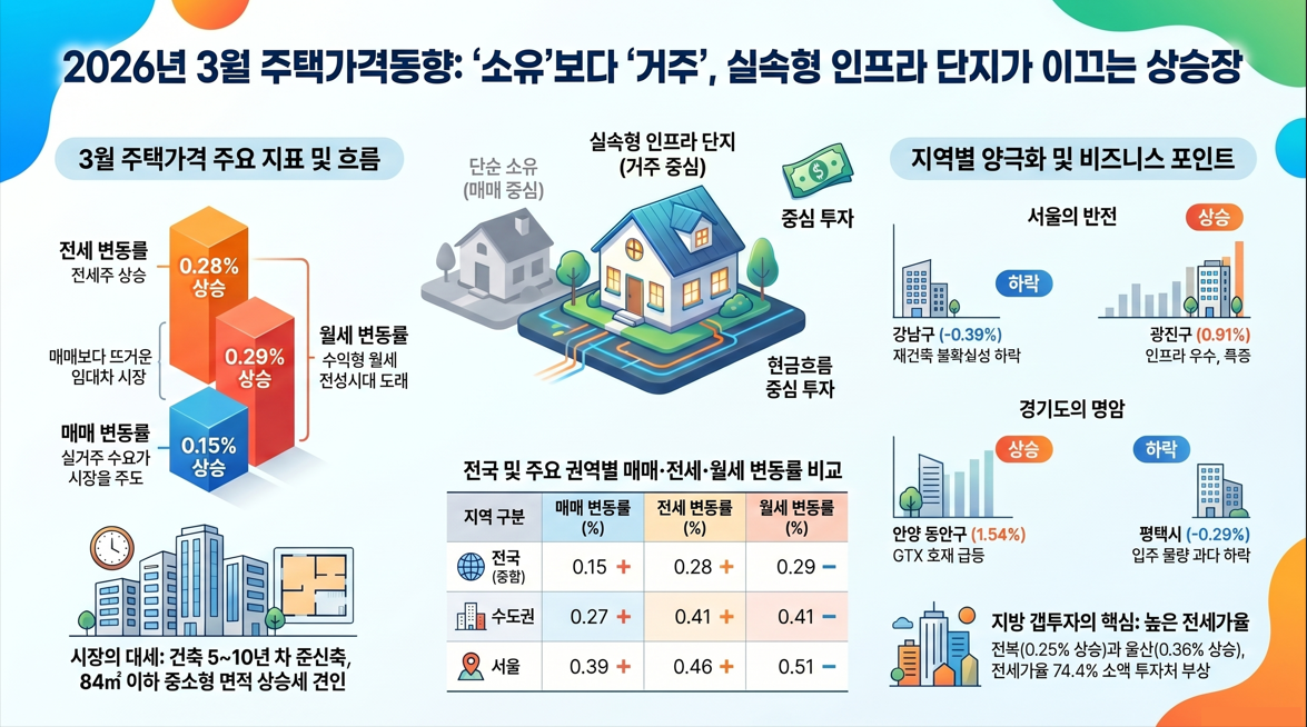돌남소장 인포그래픽 생성