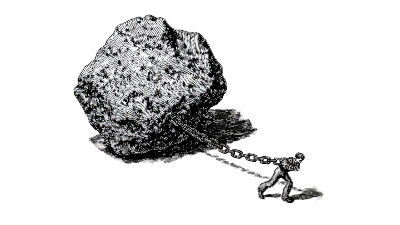 억지로 하는 모든 것은 반드시 실패합니다의 썸네일 이미지