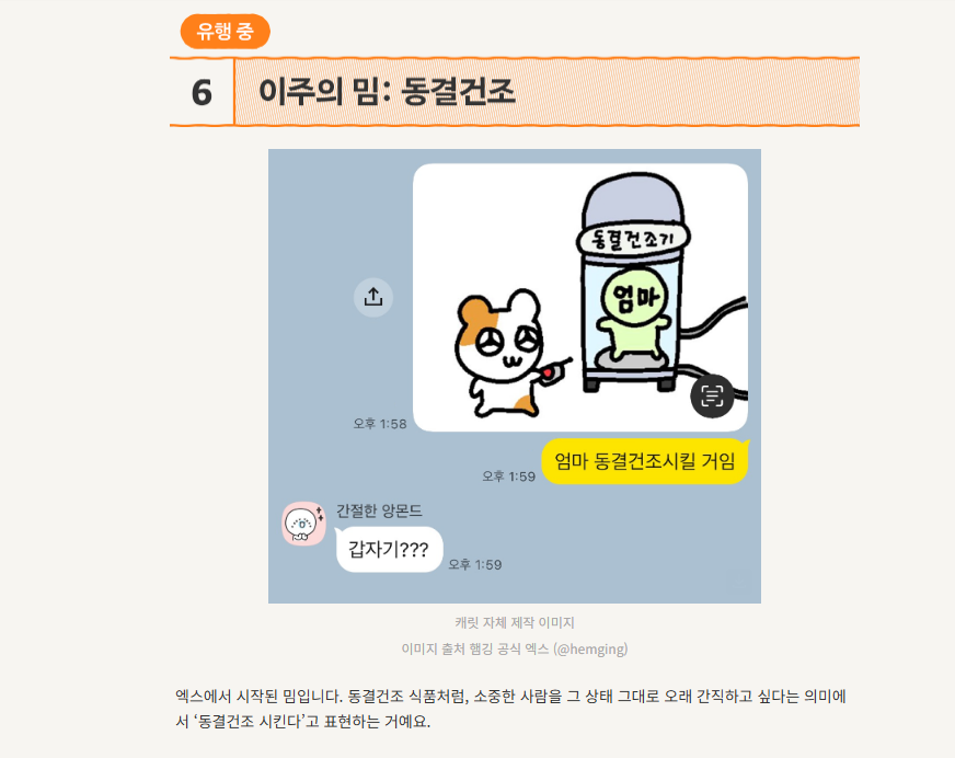 밈 제공 - ❤️ 김시은 대리 ❤️