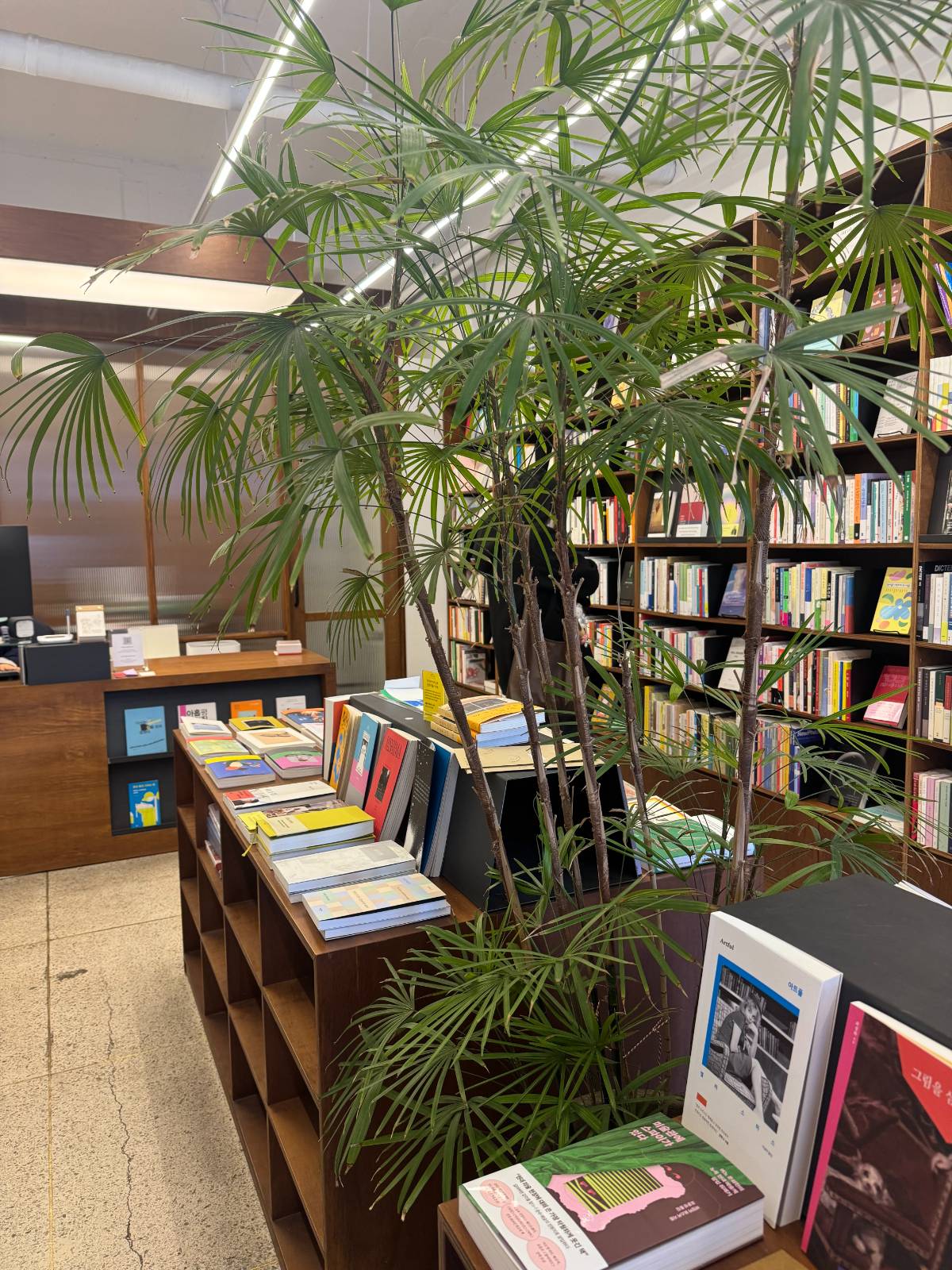 1월 1일에 발견한 연남동에 위치한 작은 서점