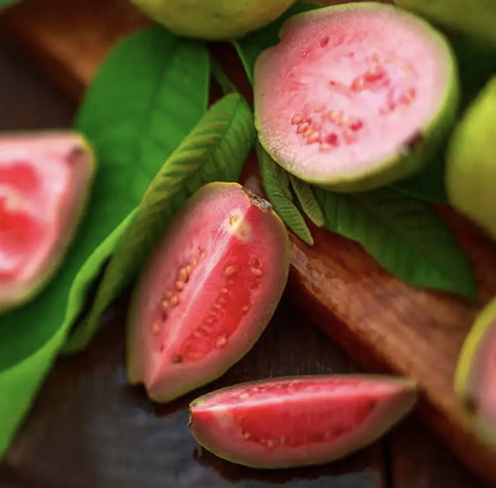 Strawberry Guava Prevents Natural Forest Generation in Madagascar (딸기 구아바는 마다가스카르에서 자연림 형성을 방해한다) 의 썸네일 이미지