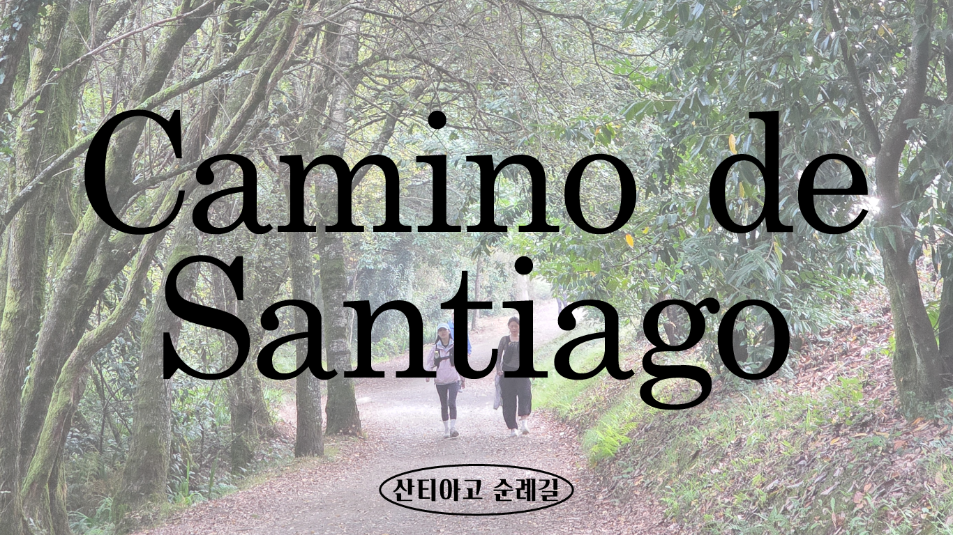 #1 🥾다시 걸은 산티아고의 썸네일 이미지