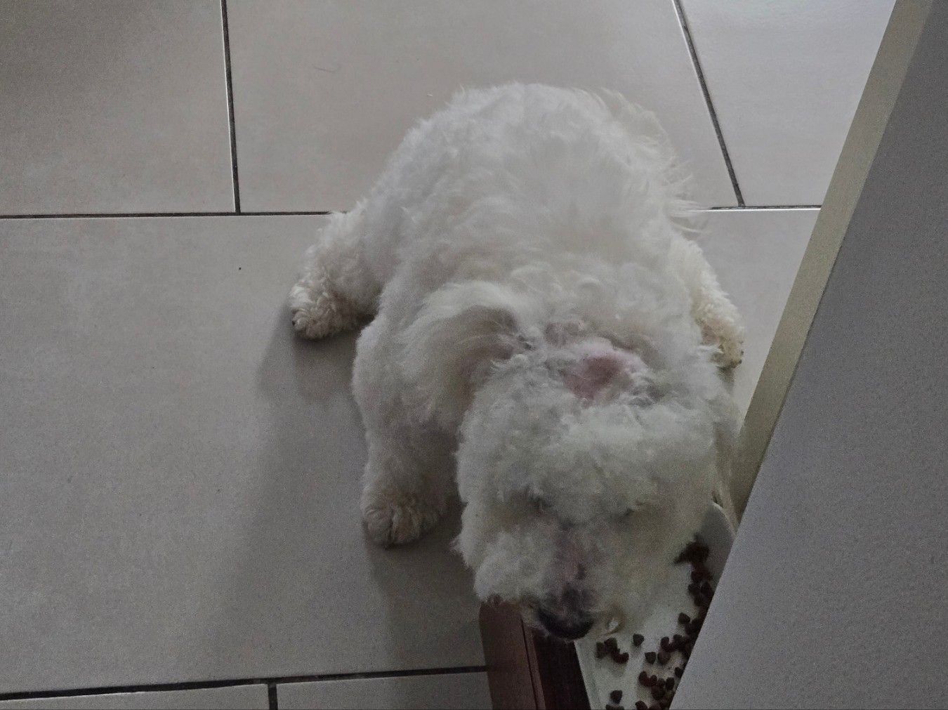 ๋๋จธ๋ฆฌ ๋ง์