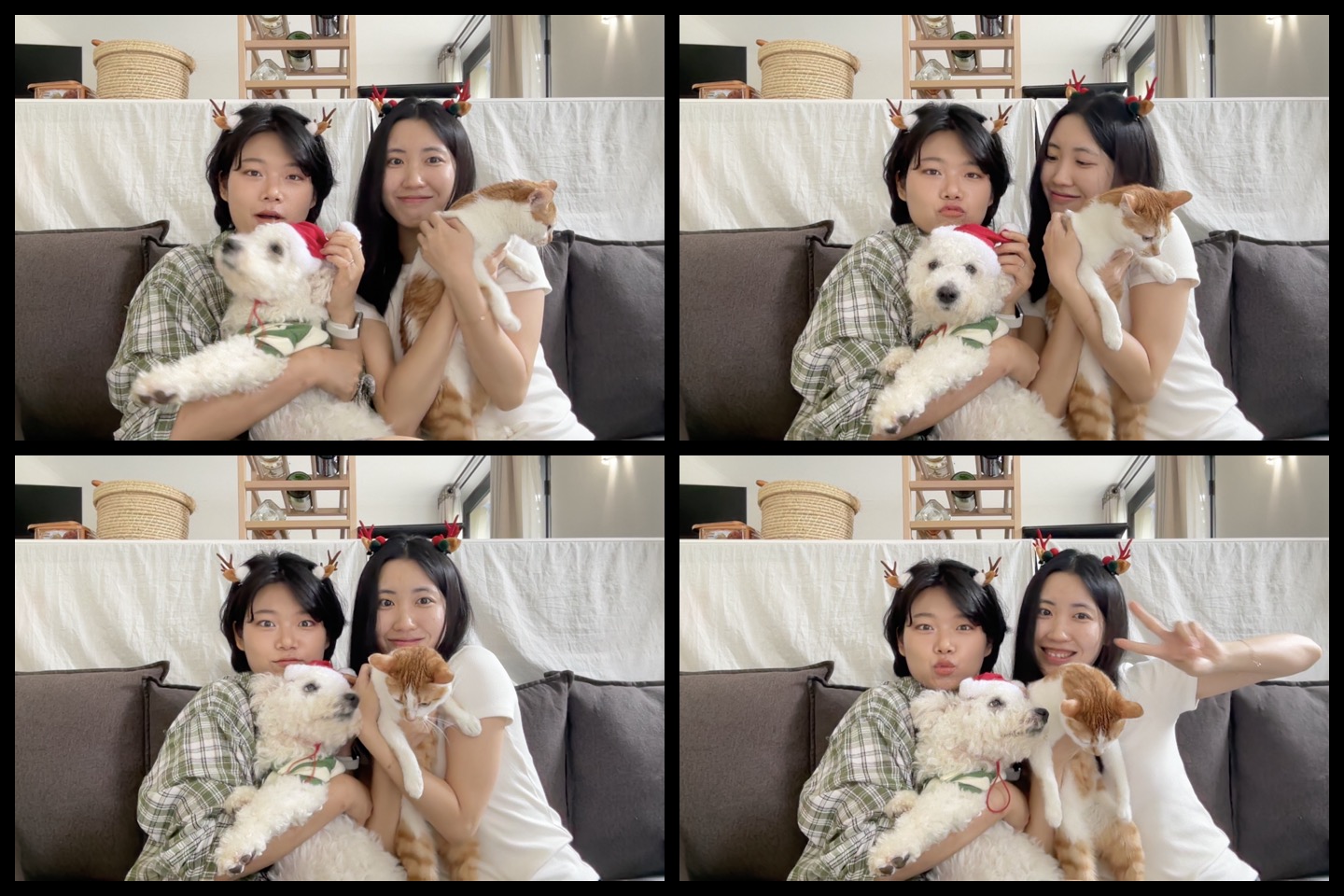 Merry Christmas 🎄