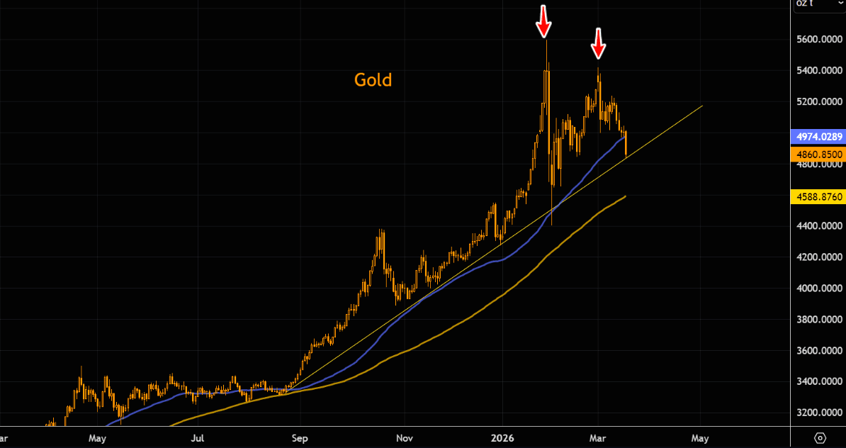 [은호레터]금은 헤지가 아니라 붐비는 포지션이었다의 썸네일 이미지