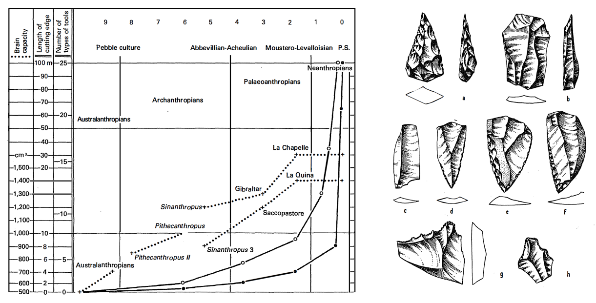 [S1-1] —	도구는 언제부터 인간의 사고와 감각을 재조직하기 시작했나의 썸네일 이미지