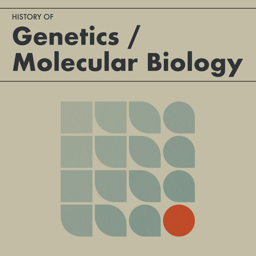 (광고) 어떻게 정액에서 사람이 되는 걸까?의 썸네일 이미지