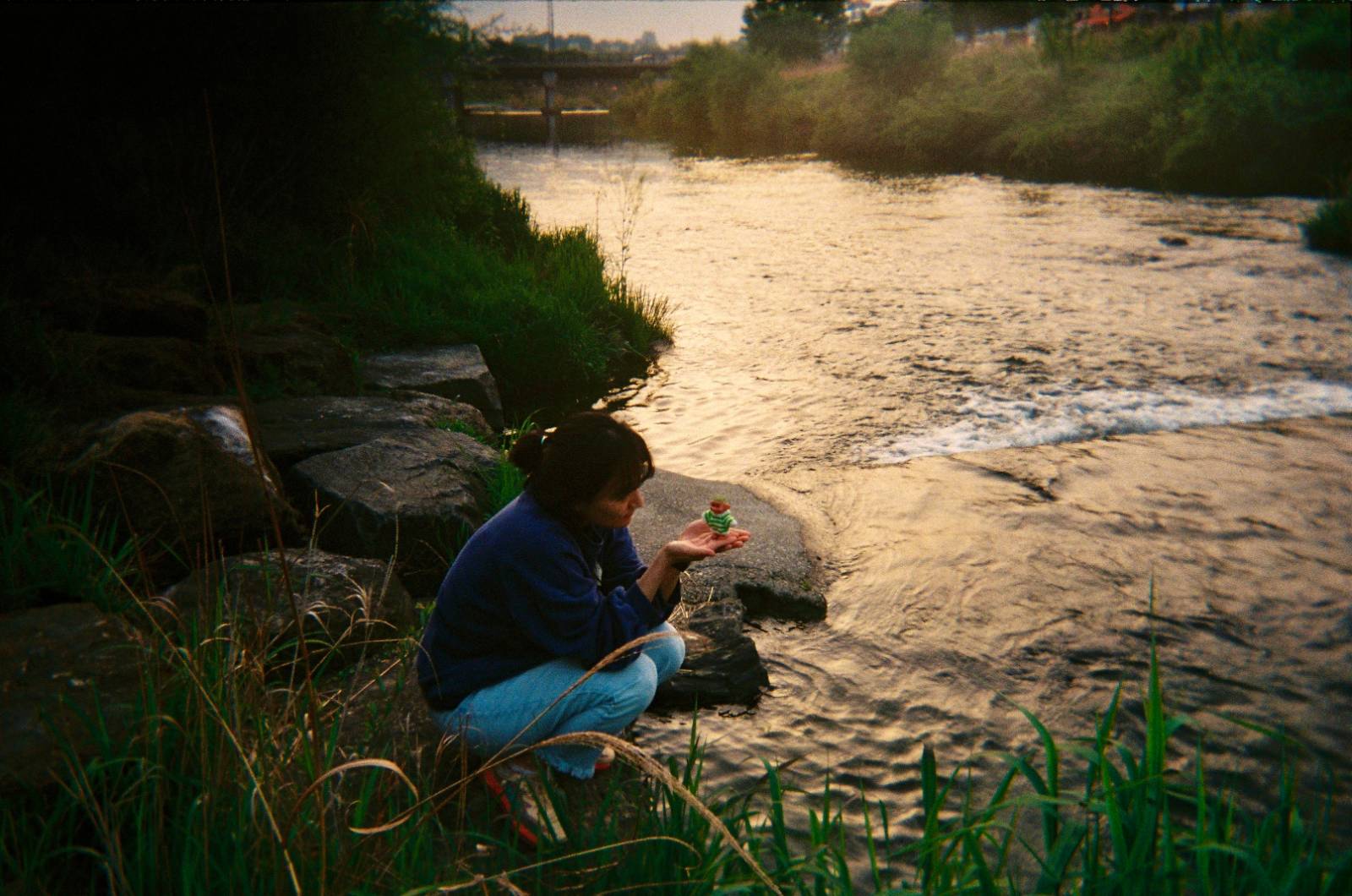 D+?의 썸네일 이미지