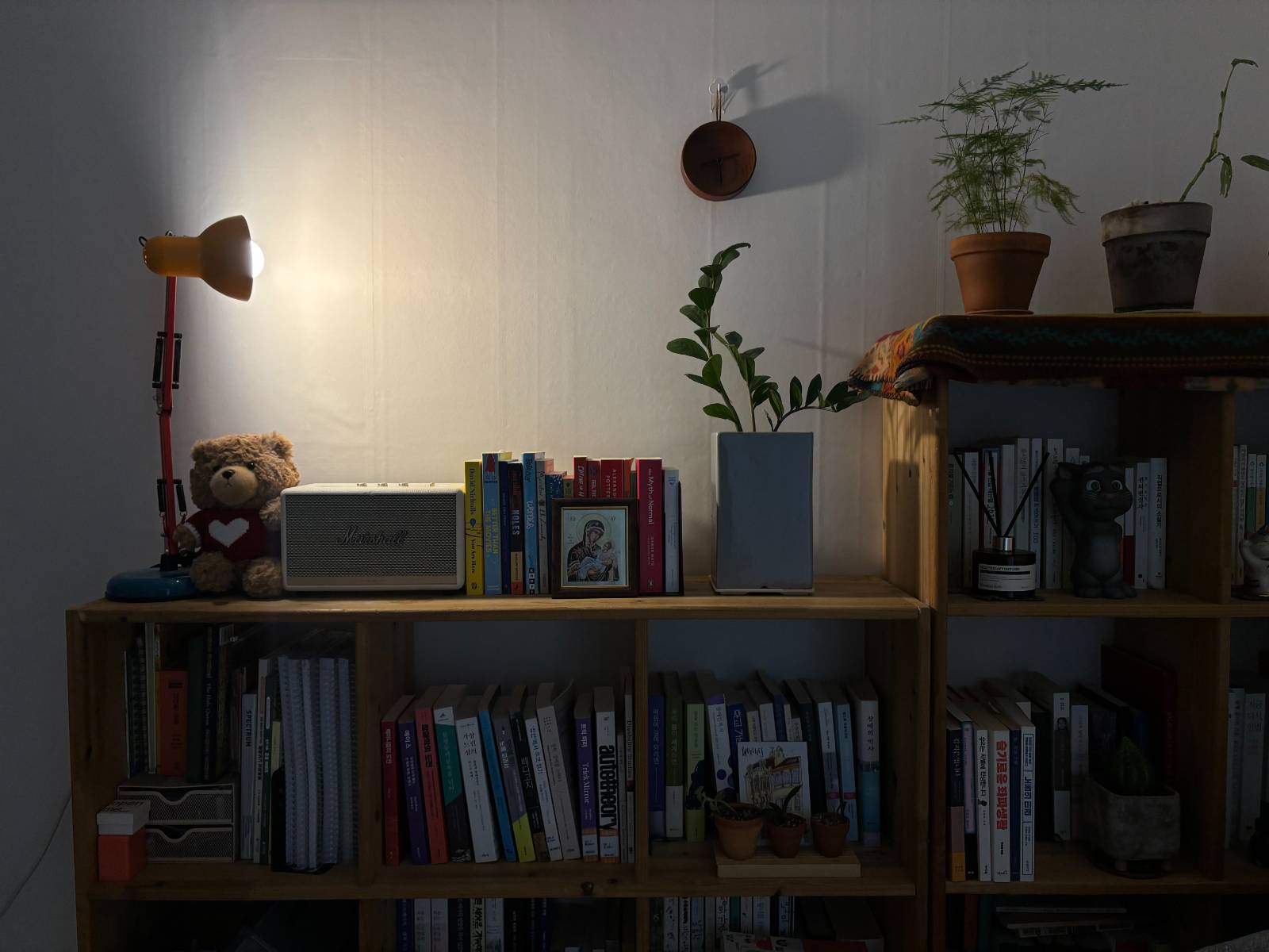 장애 관련 책으로 가득찬 책장