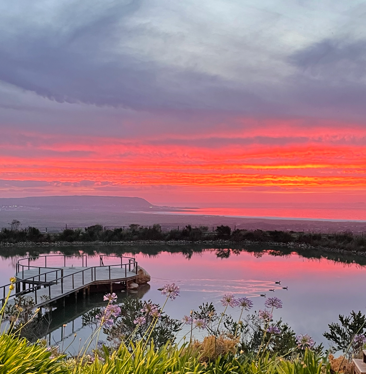 벌써 금요일이라니!!! 해외에서는 요일 감각 챙기기가 참 어렵습니다 🥲