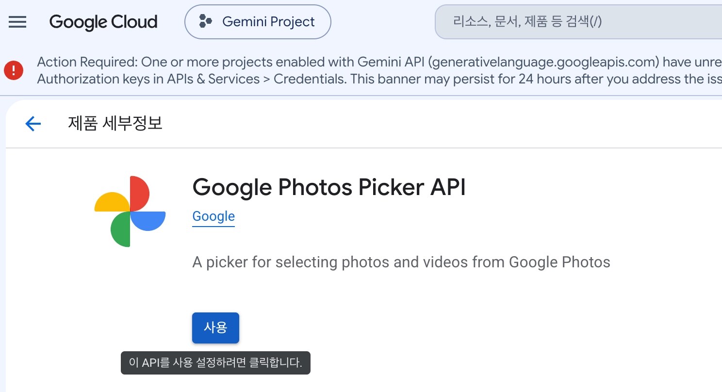 Photos Picker API 활성화 화면