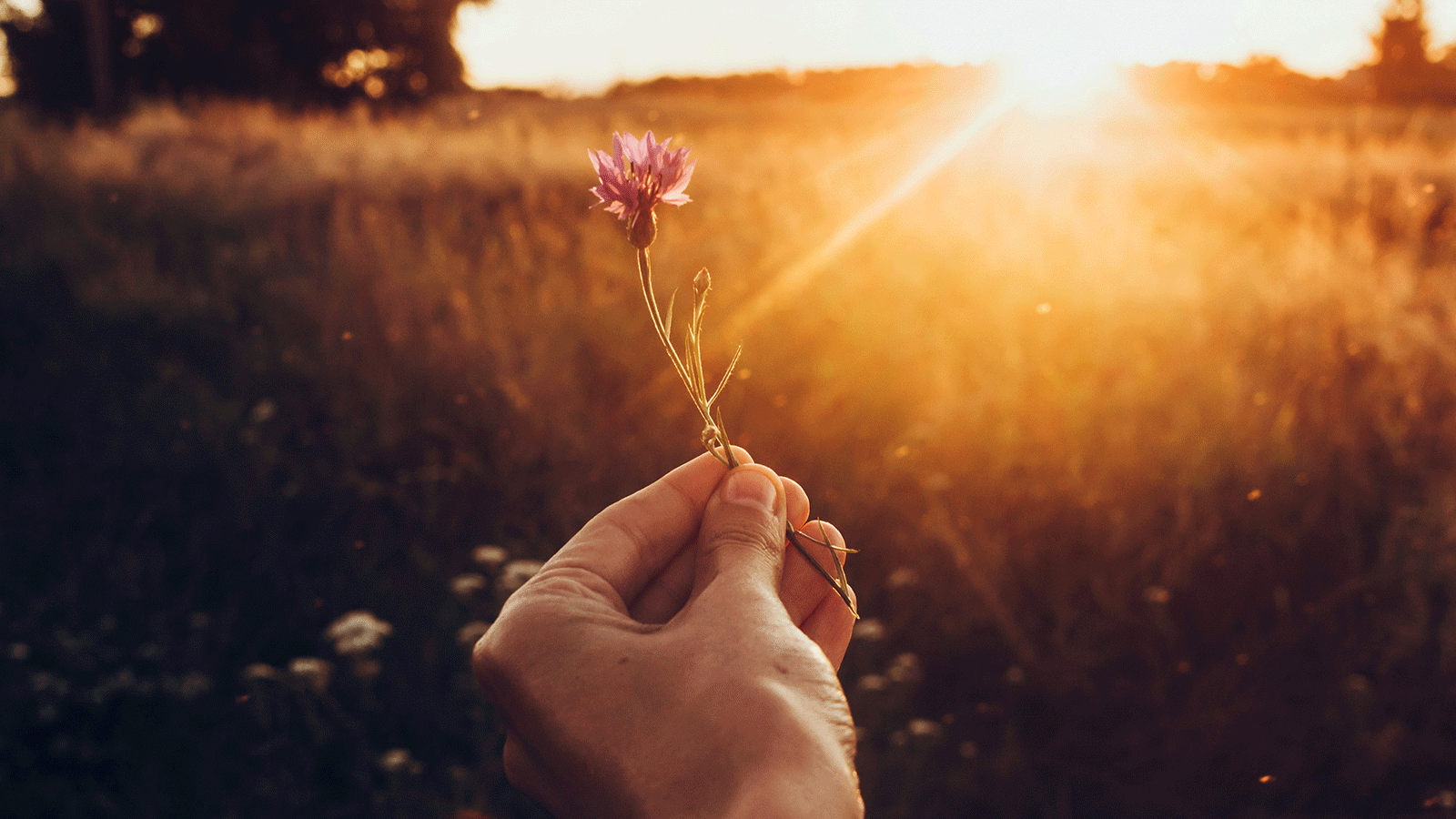 ์ฒจ๋ถ ์ด๋ฏธ์ง