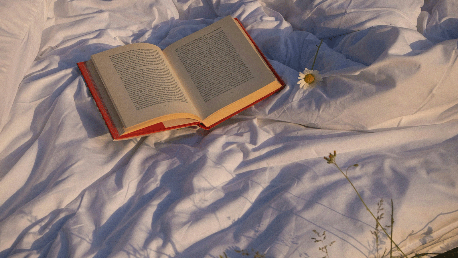 ์ฒจ๋ถ ์ด๋ฏธ์ง