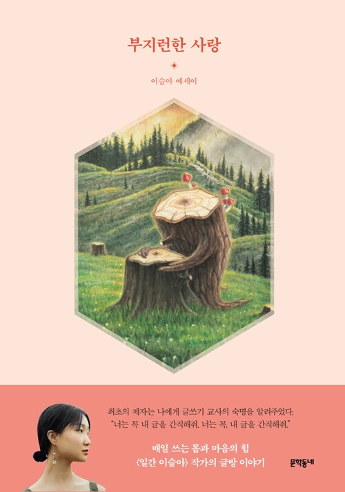 『부지런한 사랑』 초판 표지. 현재는 리커버가 되어 파란색 표지로 바뀌었습니다.