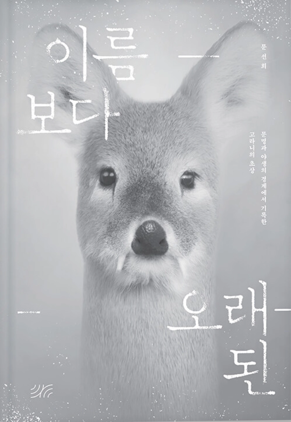 &nbsp; 『이름보다 오래된』 표지&nbsp;&nbsp;