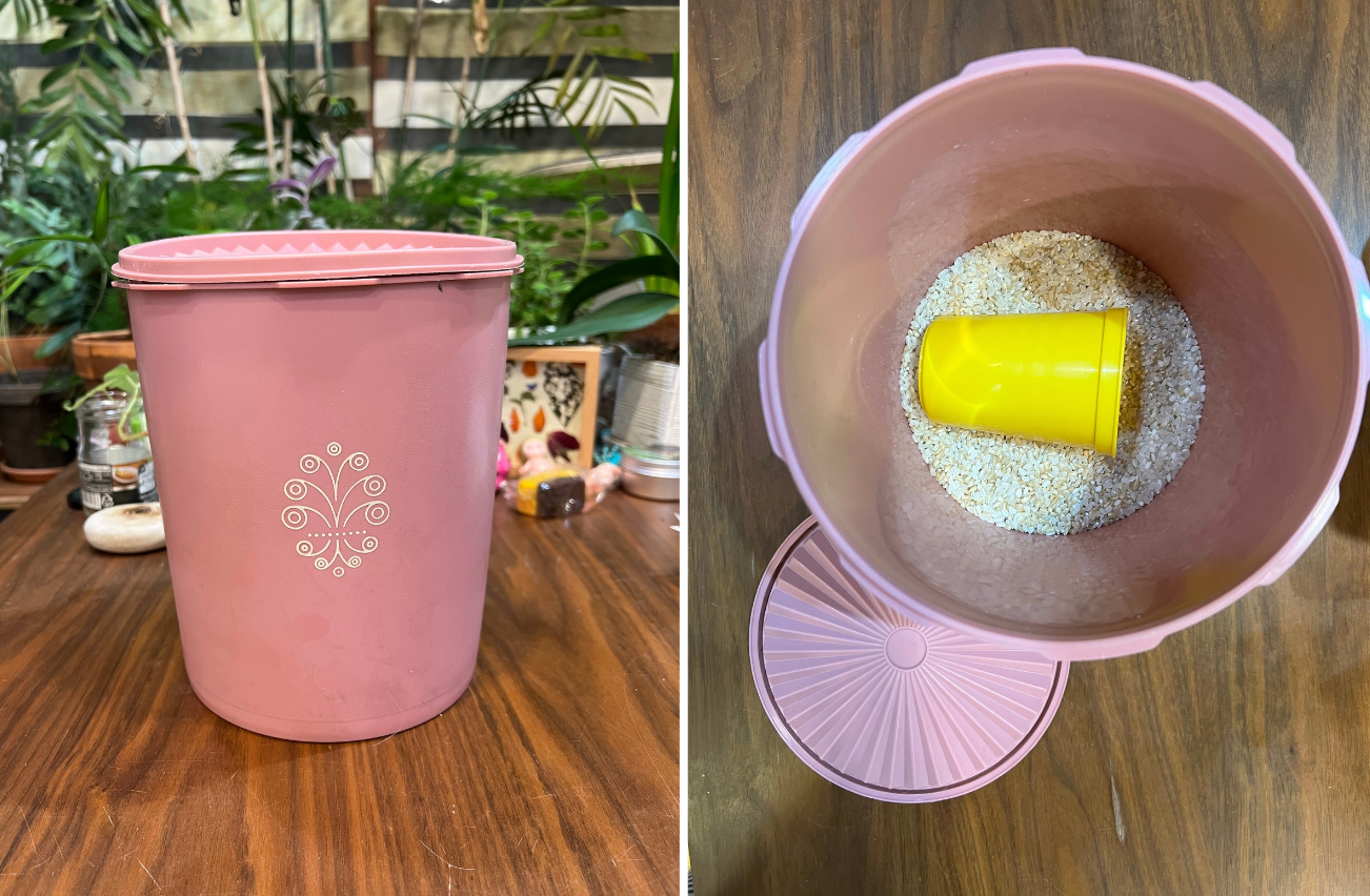 (사진 제공 : 수리님)