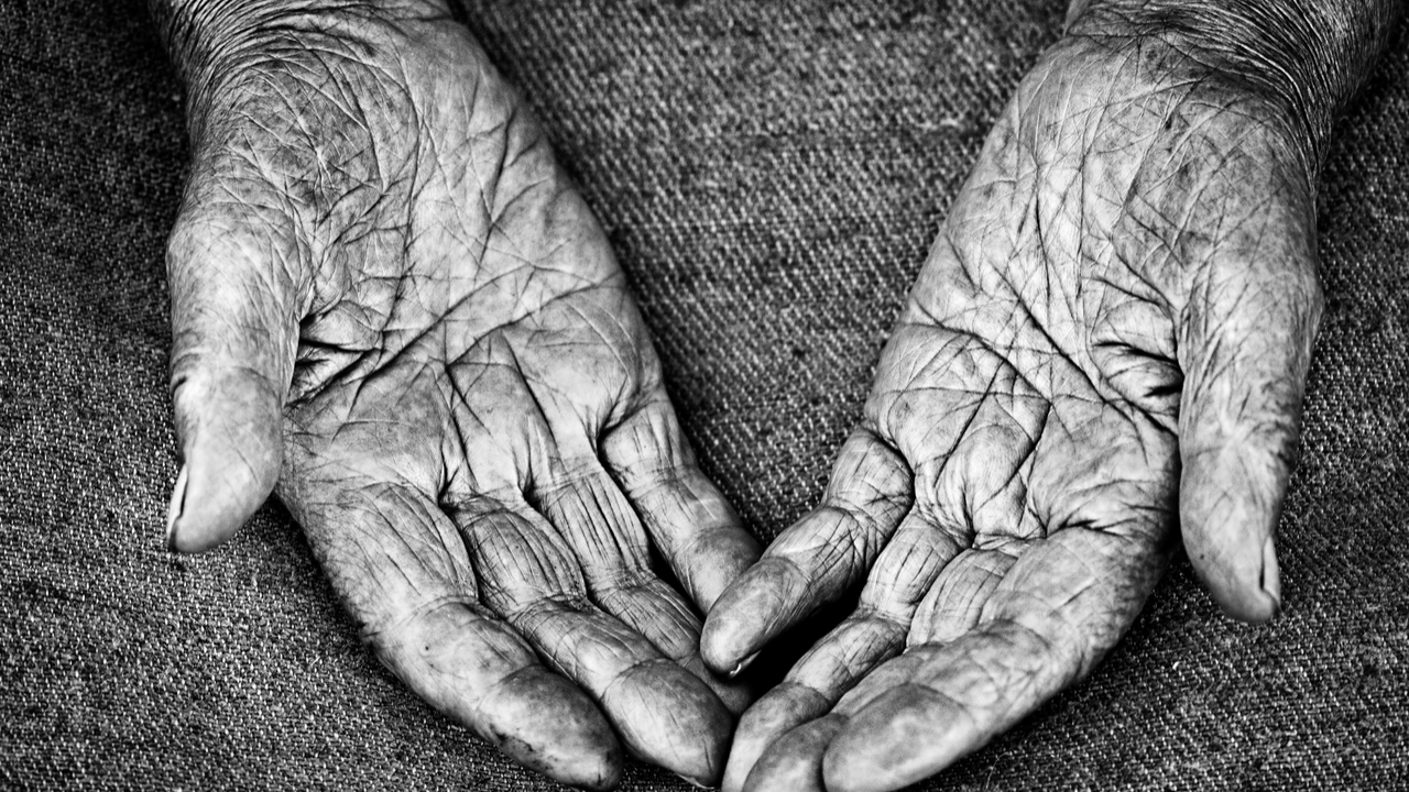 1퍼센트 부자의 비밀의 썸네일 이미지