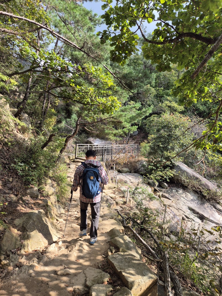 앞장서서 이끌어주신 교수님 👍