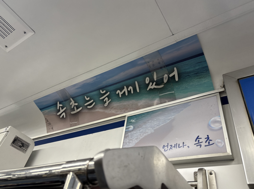 속초는 늘 거기 있어