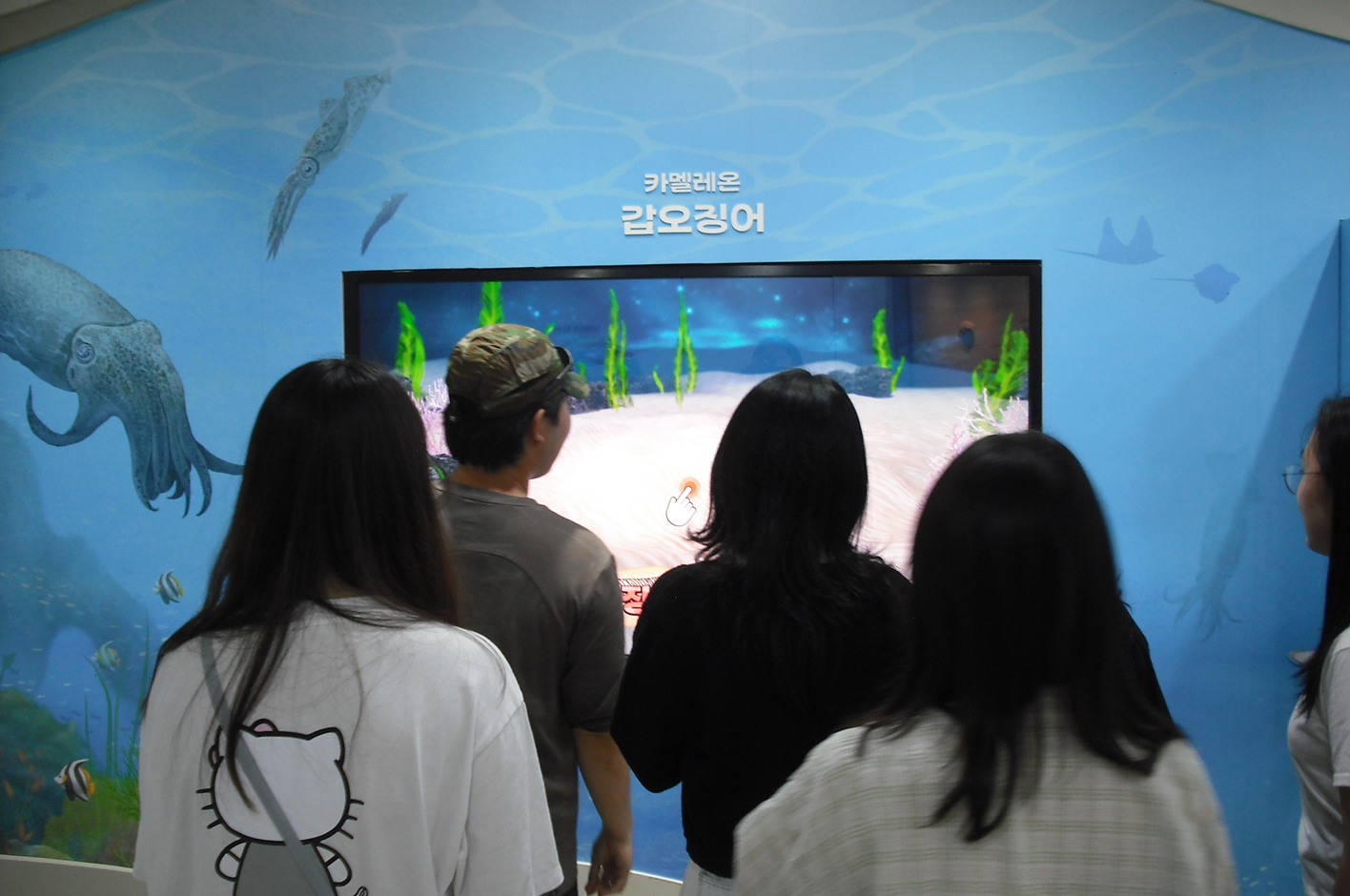 동해바다에 사는 갑오징어에 대해 공부하는 학생들
