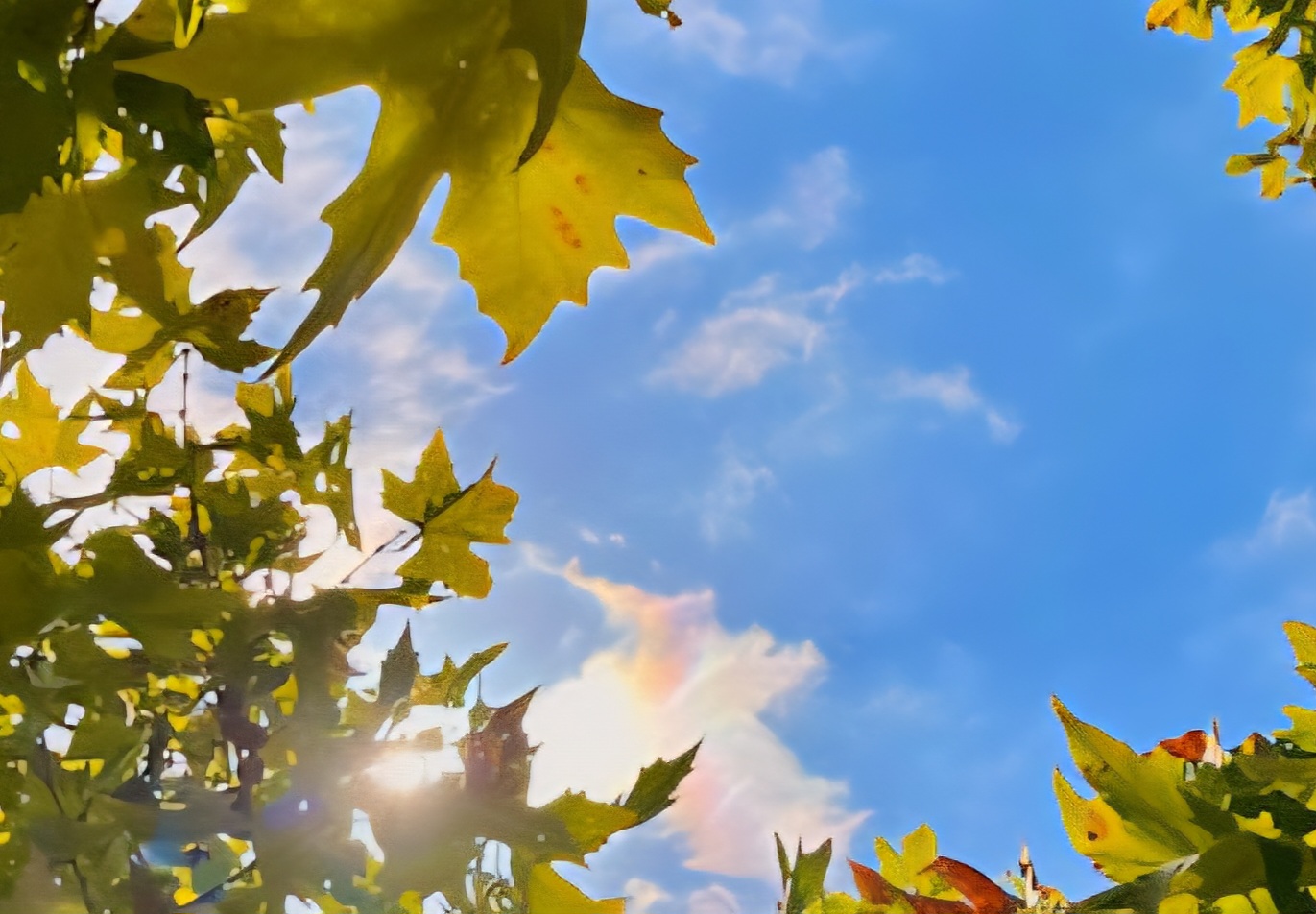 가을이 오나보다의 썸네일 이미지