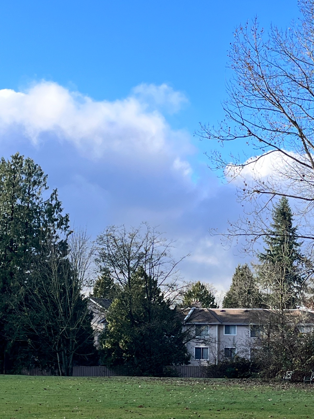 간만에 맑은 날, 아이들과 산책 시간에!&nbsp;