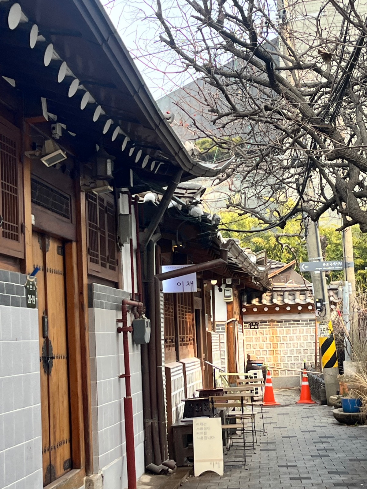 사진을 클릭하면 자세히 볼 수 있어요!