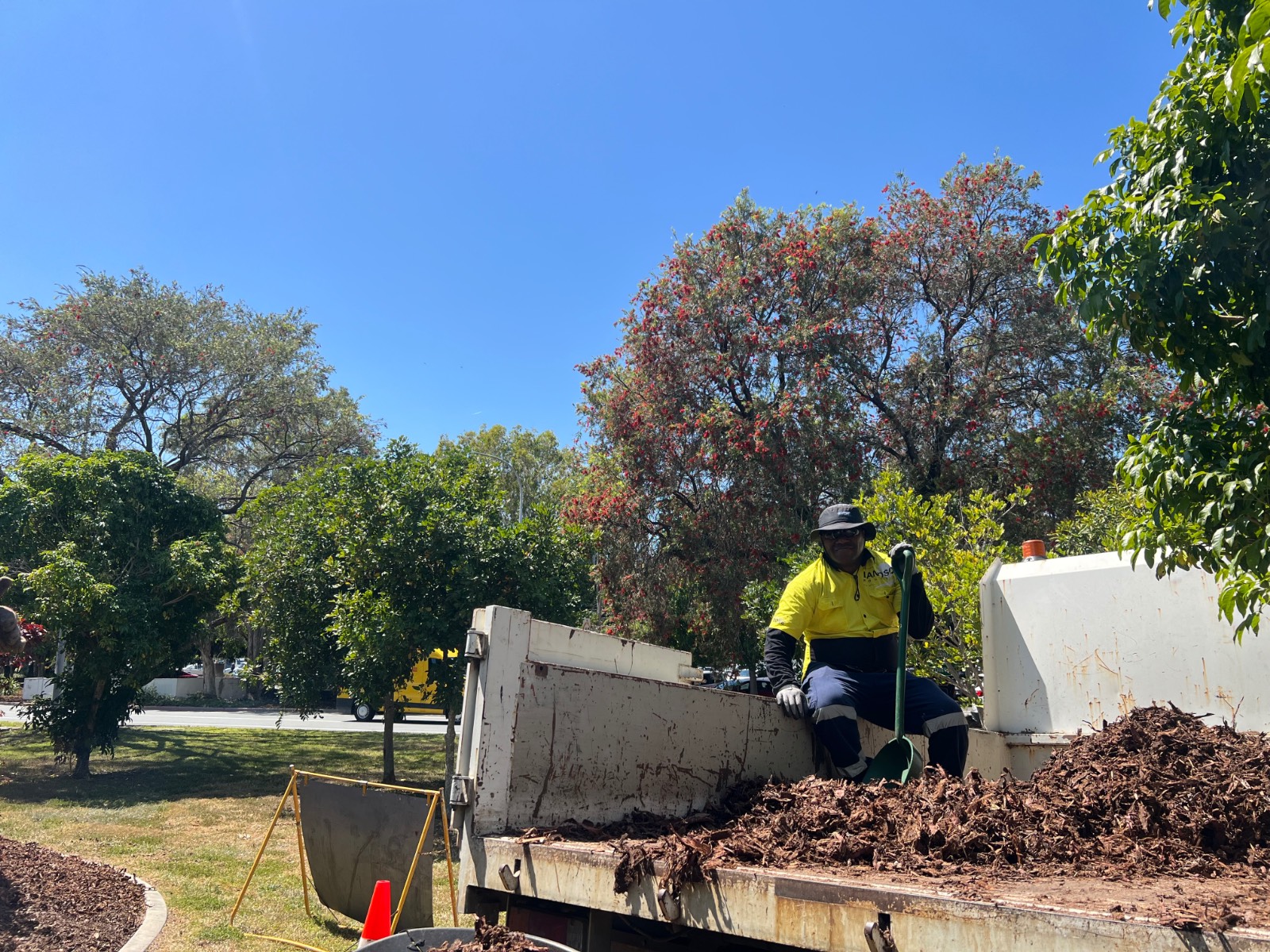 자카란다 필 무렵의 썸네일 이미지