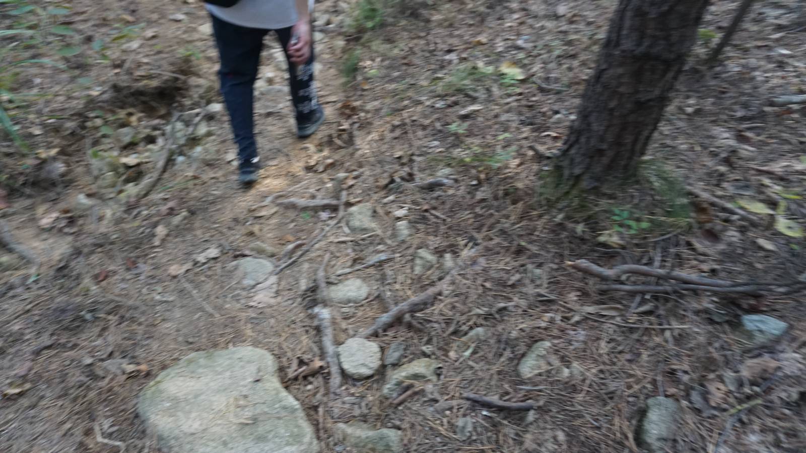 하산이 더 어려운 느낌..